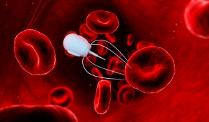 O Papel dos Nanorrobôs na Medicina do Futuro 
