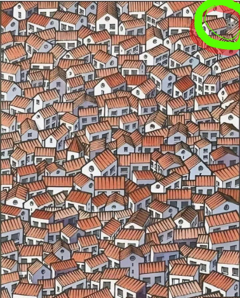 Resposta ao Desafio do Gato