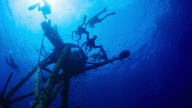 Mergulhadores explorando o oceano