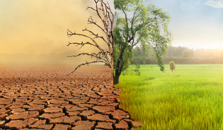Mudanças climáticas: o que a ciência comprova e como medir os impactos