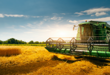 O Futuro da Alimentação está nas Inovações Científicas na Agricultura